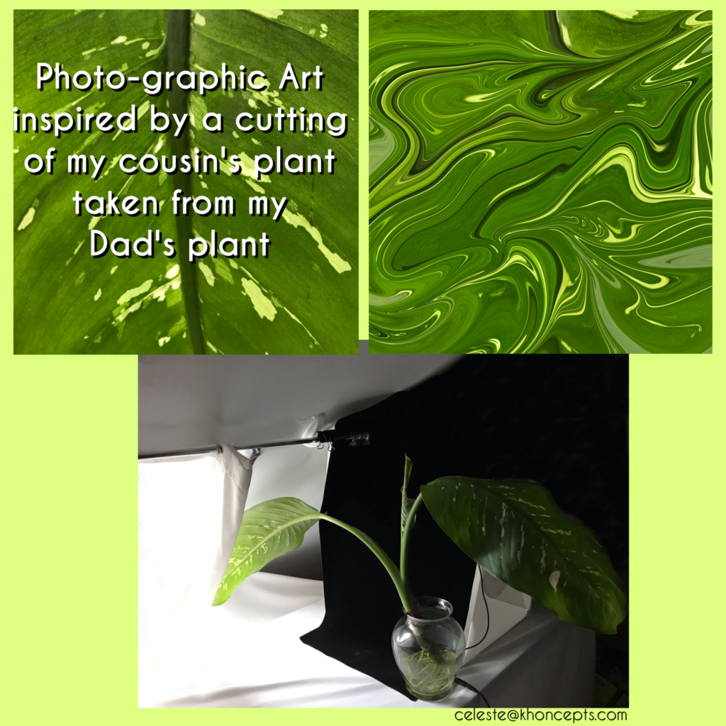 Photo-graphic art inspired by Dad's green plant